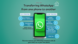 How to trasnfer whatsapp